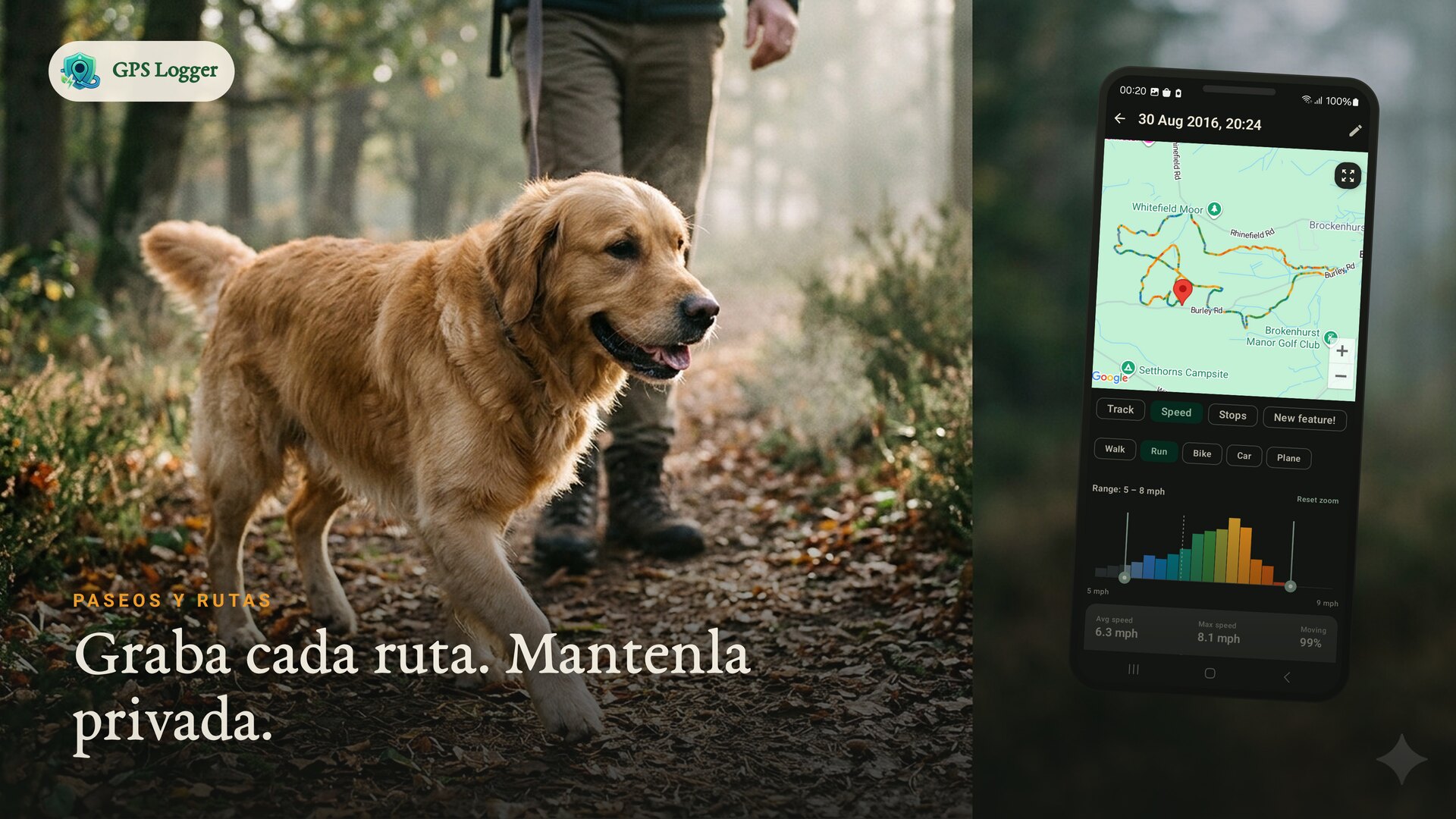 Registrando un paseo con el perro por un bosque neblinoso — registra cada sendero, mantenlo privado